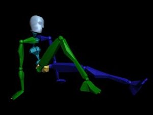 Common Behavior - Sit 040