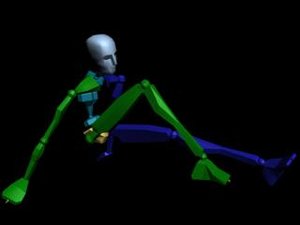 Common Behavior - Sit 042