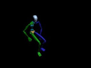 Common Behavior - Sit 053