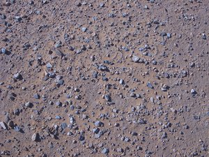 Desert-Floor_0409.png