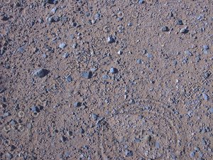 Desert-Floor_0413.png