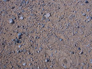 Desert-Floor_0414.png
