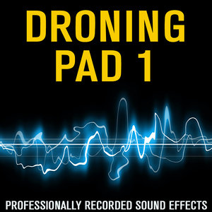 DronePAD 1