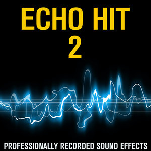 EchoHIT02
