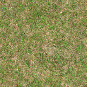 Very High resolution Grass ground 03