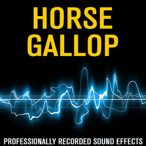 HorseGALLOP