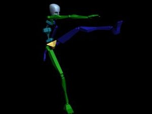 Kung Fu Attack Combo 012