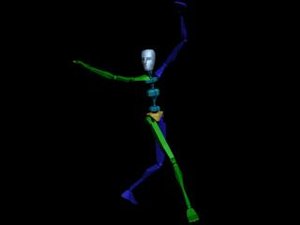 Kung Fu Pose Up 528