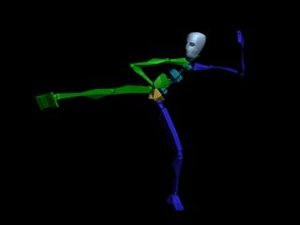 Kung Fu Attack Low Kick 437