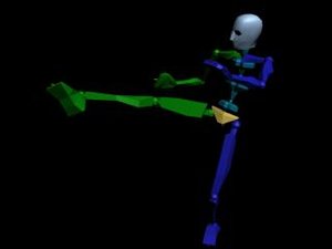 Kung Fu Attack Low Kick 462