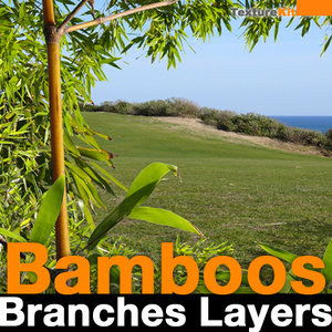 Bamboos Branch Layers