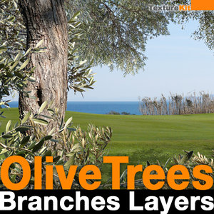 Olive Trees Branches Layers