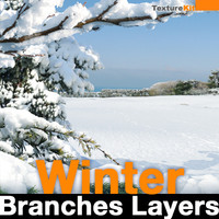 Winter Branches Layers