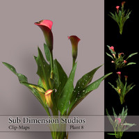 Plant_8