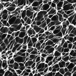 Water Caustic Texture