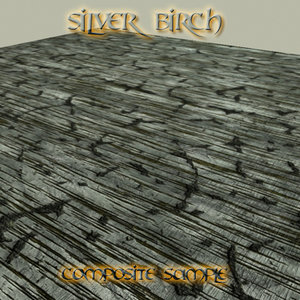 Silver Birch