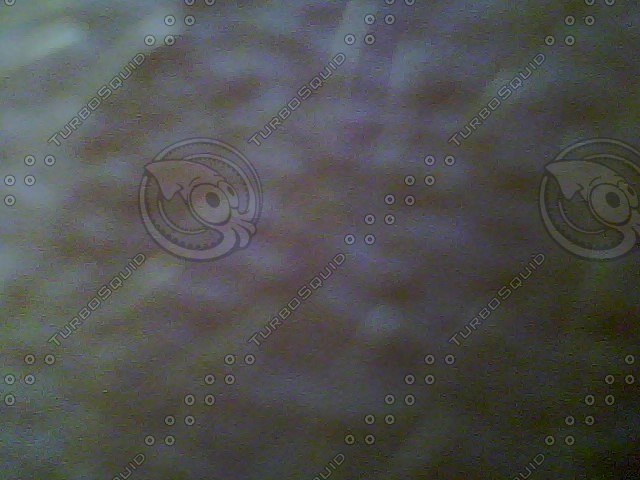 Skin Bitmap Texture Windows Bitmap Skin