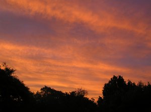 Sunset home.JPG
