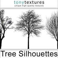 55 Tree Silhouettes (Collection)