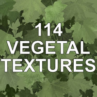 114 VEGETAL, TREE AND PLANT TEXTURES
