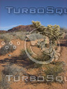 Valley-of-Fire_0389.png