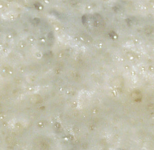 bubbleBeer.jpg