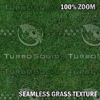 Seamless grass texture