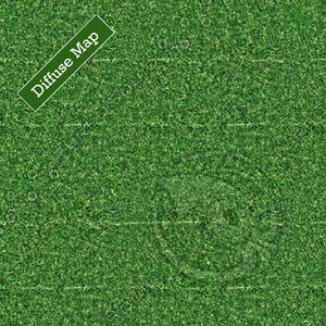 Grass Texture #10