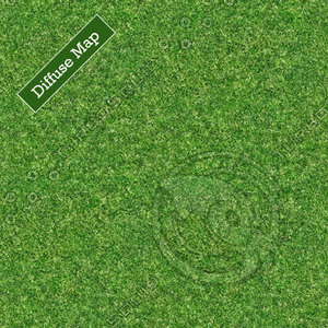 Grass Texture #11