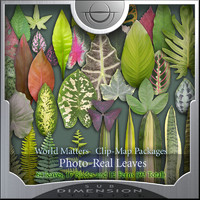 World Matters, Photo-Real Leaves