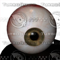 The Eyes Mega Pack (Poser Edition)