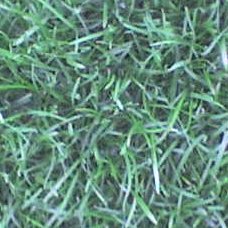 CXN__07843.bmp