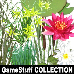 Collection_Bog_and_Lake_Plants