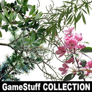 BRANCHES_Collection_01_part01