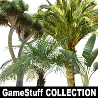 collection_palm_01_p_01