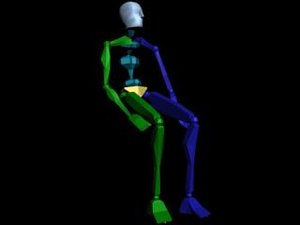 Common Behavior - Sit 038