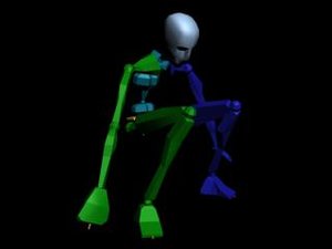 Common Behavior - Sit 043