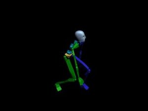 Common Behavior - Squat 045