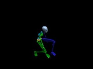 Common Behavior - Squat 046