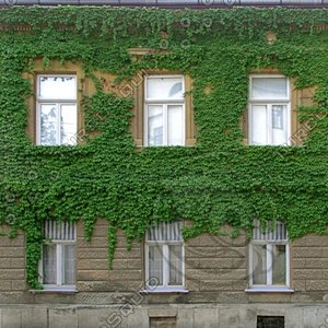 DLRUS_Front_08_S_TH