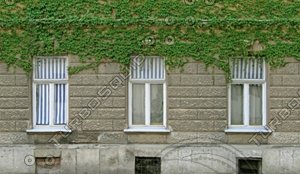 DLRUS_Front_18_S_TH