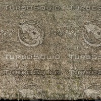 DLRUS_Roof_12_G_TH