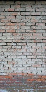 DLRUS_Wall_187_G_TH