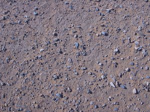 Desert-Floor_0408.png