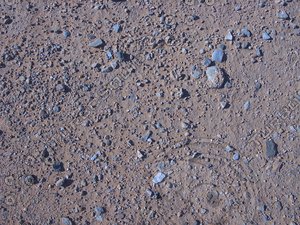 Desert-Floor_0415.png