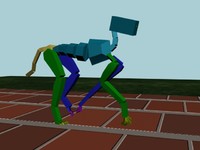Dog Cantering Straight 500