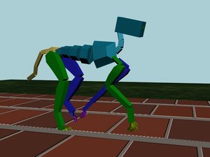 Dog Cantering Straight 500