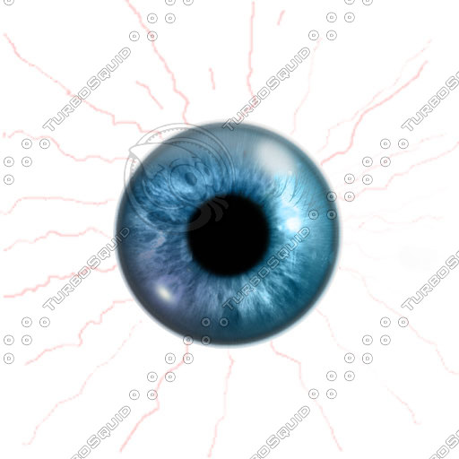 File:Eyeball Blue.jpg - Wikipedia