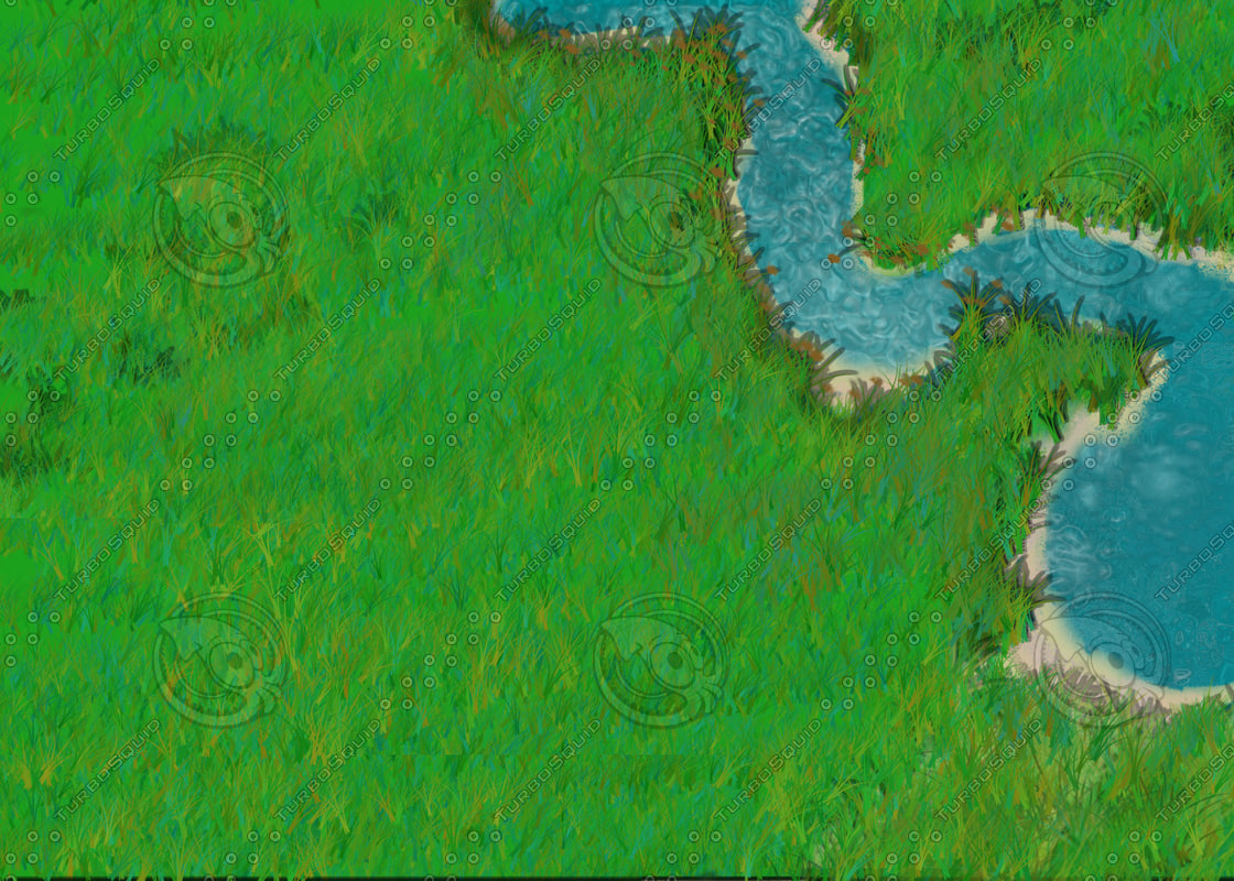 Texture JPEG Grassland with Stream