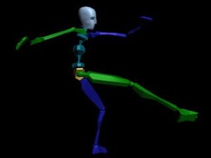 Kung Fu Attack Low Kick 482